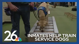 Service dogs trained at Oshkosh prison make big impact