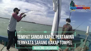 Mancing dengan umpan udang hidup saat cuaca buruk masih dikasih strike || Ultralight Bottom Fishing