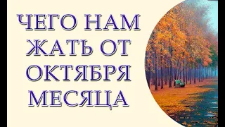 Смотреть всем! С 1 октября нововведения для украинцев! Пенсии! Тарифы! Штрафы! Призыв!