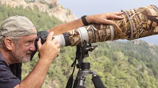 Behind the Scenes With 2021 Audubon Photography Awards Video Winner Bill Bryant