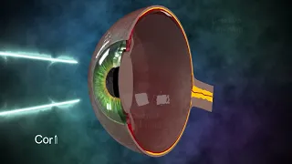 Defects of vision | Myopia and Hypermetropia | The Human Eye 3d Animation