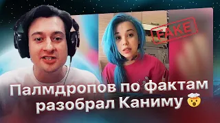 Мощный ответ Палмдропова на жалобы Канимы: Разбор, пруфы и факты!