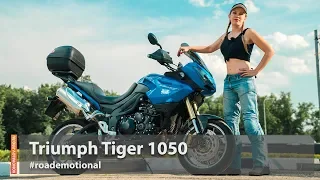 Triumph Tiger 1050 (Тест от Ксю) / Roademotional