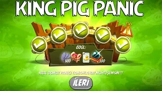 Angry Birds 2 : King Pig Panic