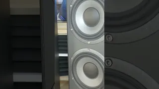 Teardown 1500$ Focal speakers