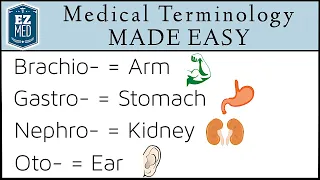 Medical Terminology MADE EASY: Root Words [Nursing, Students, Coding]