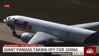 Wheels up: Watch the moment the panda plane took off from Dulles | NBC4 Washington