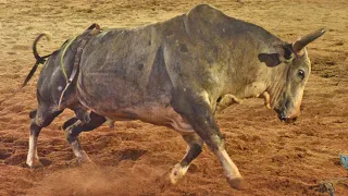 #CRP231 MELHORES MOMENTOS de TERÇA FEIRA -  6ª Etapa Burguesa CRP 2021