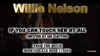 Willie Nelson - If You Can Touch Her at All (1980)