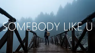 Alan Walker & Au/Ra - Somebody Like U (Lyrics)