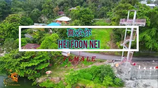 Hei Foon Nei [Cantonese] (喜欢你 ) Female Version - Karaoke mandarin with drone view