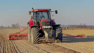 Case IH Puma 200 CVX & HORSCH PRONTO 6 DC • Setí Ječmene 2022