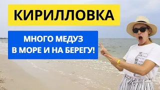 Кирилловка 2021 - Много медуз в воде и на берегу! Цены на еду и развлечения, ночная жизнь, лунапарк