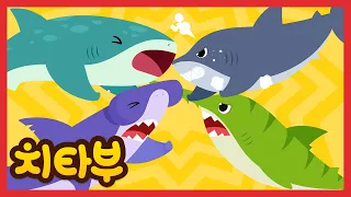 [ENG sub] 🦈가장 강한 상어는? (Who’s the Strongest Shark?)🏆 | 바다동물 | 상어 동요 | 신나는 동요 | #치타부