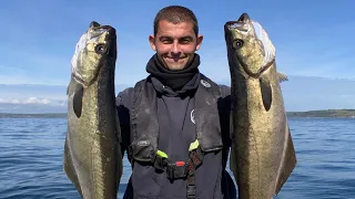 INCREDIBLE Pollack Fishing - Small Boat fishing in Cornwall