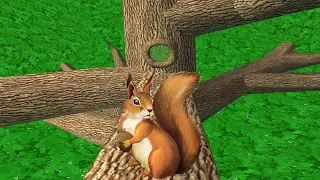 Squirrel Simulator By Avelog - Life Of Squirrel - Gameplay Part 1