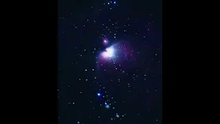 Orion Nebula with Starsense App #mobileastrophotography #orionnebula #orion #celestron