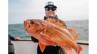 Untouched Coast yields MONSTERS/Deep water Slowpitch Jigging/ Morro Bay, CA