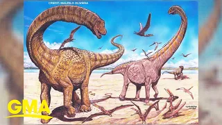 2 new dinosaur species discovered in Northwest China l GMA