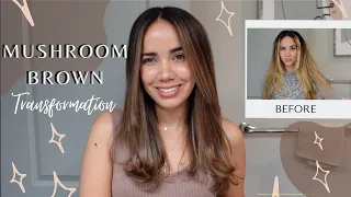 Mushroom Brown Hair Transformation Using Toner | Blonde to Ashy Brown Color | DIY Haircut & Color