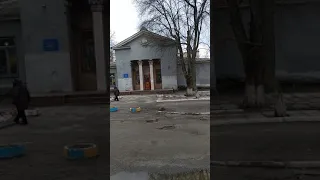 Днепр улица путиловская деревья падают детям на голову возле дом пионера