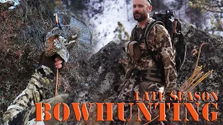 Recurve Bow Hunting Late Season Deer 2019