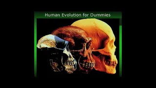 Hominoids - 20 Million Years of Suppressed History  (2005) - Lloyd Pye