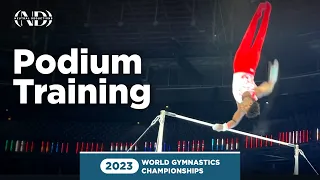 Fred Richard (USA) - High Bar - 2023 World Gymnastics Championships