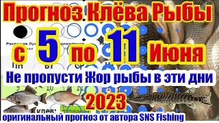 Прогноз клева рыбы на Эту неделю с 5 по 11 Июня Календарь клева рыбы Лунный календарь рыбака