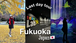 Fukuoka Japan last day | TeamLab Forest | Yakiniku | Ohori Park| Kyushu| Autumn Foliage 🍁🇯🇵💛🧡