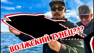 ЧТО Я ПОЙМАЛ!? ПОВЕЗЛО ТАК ПОВЕЗЛО! ЛОВЛЯ СУДАКА НА ВОЛГЕ | Новые катушки Savage Gear!