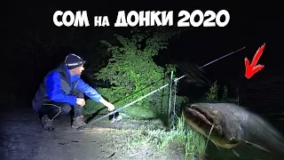 ПЕРВЫЙ СОМ 2020 на ДОНКИ!!! ЛОВЛЯ СОМА и НАЛИМА на РЕКЕ с БЕРЕГА