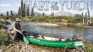 Hart of the YUKON - 14 Days Solo Camping in the Yukon Wilderness - E.8 - Magical Fly Fishing Hole