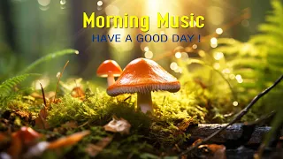 THE BEST GOOD MORNING MUSIC - Wake Up Fresh & Happy -Calm Morning Meditation Music For Stress Relief