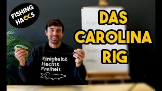 SO funktioniert das Carolina Rig | Fishing Hacks #6