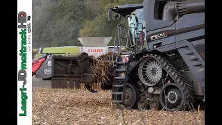 Fendt IDEAL 8T VS Claas Lexion 770 - Corn Harvest 2018 !