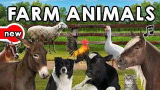 FARM ANIMALS SONG - ANIMAL SOUNDS - FARM ANIMALS VOCABULARY