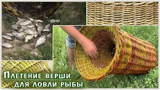 Плетение верши для ловли рыбы.