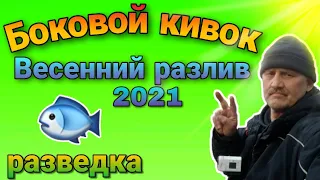 Боковой кивок в половодье.Открытие сезона.