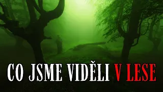 Co jsme viděli v lese - Creepypasta [CZ]