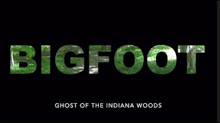 Bigfoot: Ghost of the Indiana Woods (Southern Indiana)