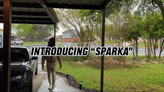 Introducing “Sparka”