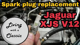 Jaguar XJS V12 Spark Plug Replacement - Step by step tutorial