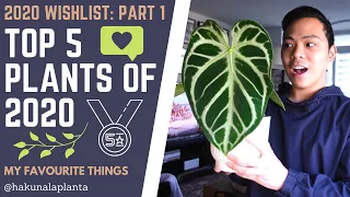 Top 5 Favourite Plants From My 2020 Wishlist (Part 1) - Worth the hype?