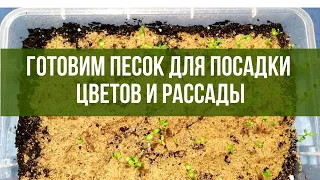 Прокаливание песка для посадки цветов и рассады в домашних условиях