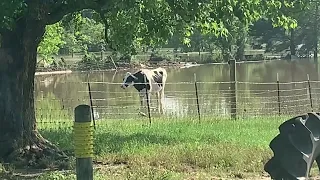 THE RIVER IS RISING FAST!!!