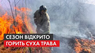 Щовесни Україна – у вогні! Чому суху траву не варто палити та Як це впливає на природу