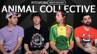 Animal Collective - Interview - Pitchfork Music Festival 2011