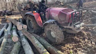 Ormanda traktörler ile tomruk çekiyoruz