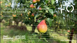 Pear Masterclass Session 1 - Development in European planting systems & rootstocks